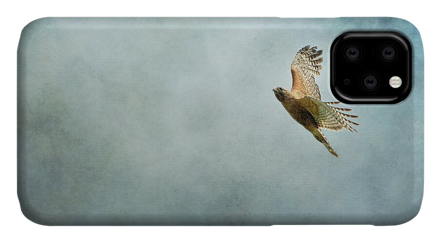 Buteo Lineatus iPhone 11 Case featuring the photograph Up Up and Away #1 by Jai Johnson