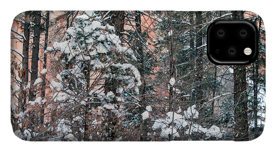 Snow iPhone 11 Case featuring the photograph West Fork Snow #1 by Tam Ryan