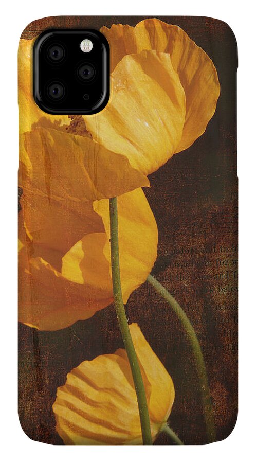 Icelandic Poppy iPhone 11 Case featuring the photograph Icelandic Poppy by Bellesouth Studio