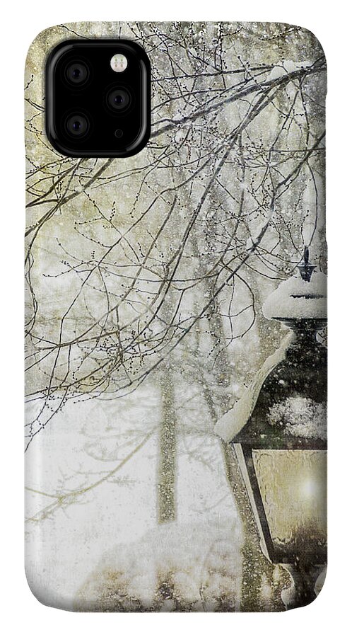 Winter iPhone 11 Case featuring the photograph Winter Stillness #1 by Julie Palencia
