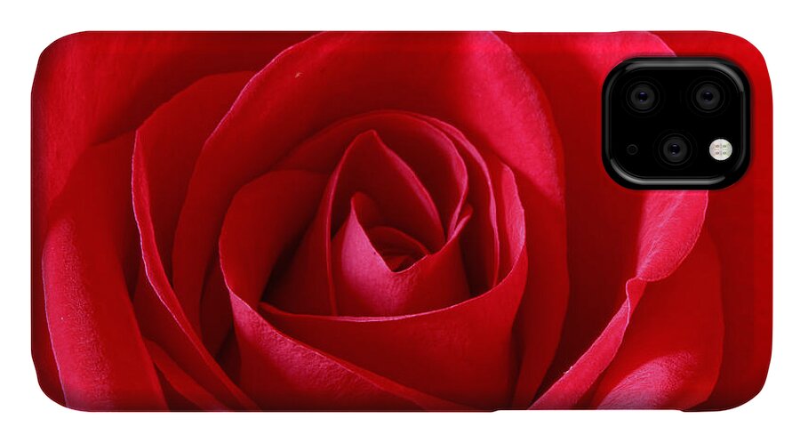 Background iPhone 11 Case featuring the photograph Red Rose #3 by Peter Lakomy