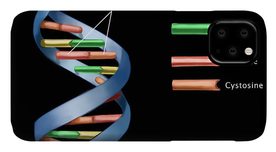 Adenine iPhone 11 Case featuring the photograph Dna #5 by Spencer Sutton