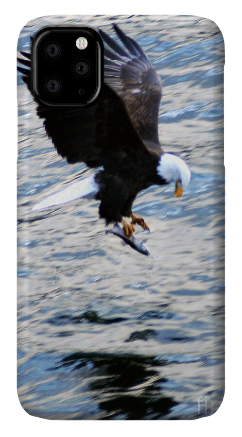 Bald Eagle iPhone 11 Case featuring the photograph A Catch of Life by Cindy Murphy - NightVisions 