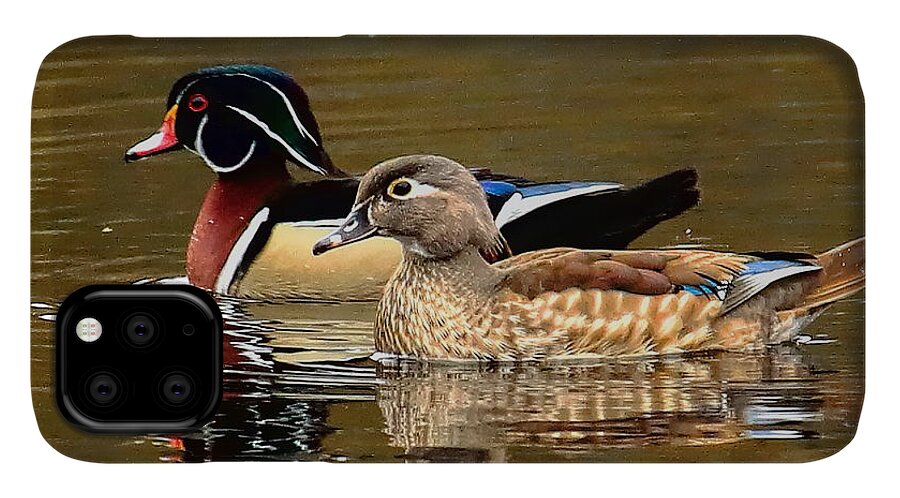 Waterfowl iPhone 11 Case featuring the photograph A Handsome Pair by Dale Kauzlaric