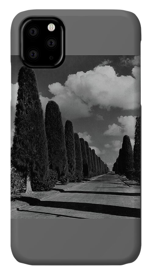 A Street Lined With Cypress Trees iPhone 11 Case