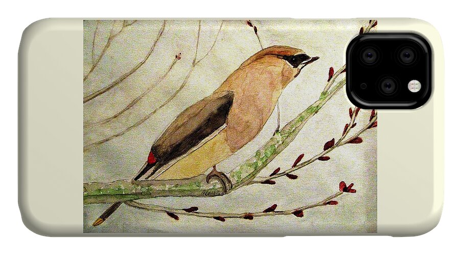 Waxwings iPhone 11 Case featuring the painting A Waxwing In The Orchard by Angela Davies