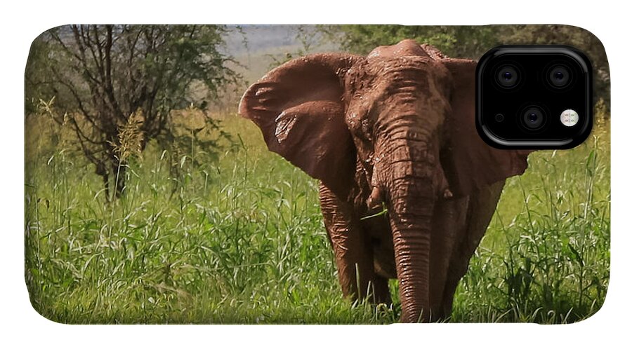 Namibia iPhone 11 Case featuring the photograph African Desert Elephant by Gregory Daley MPSA