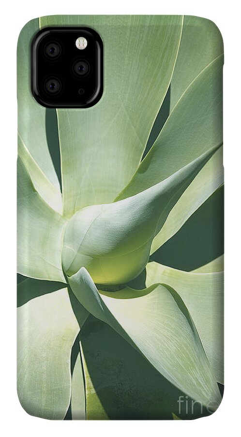 Vertical iPhone 11 Case featuring the photograph Agave Plant 1 by Richard J Thompson 