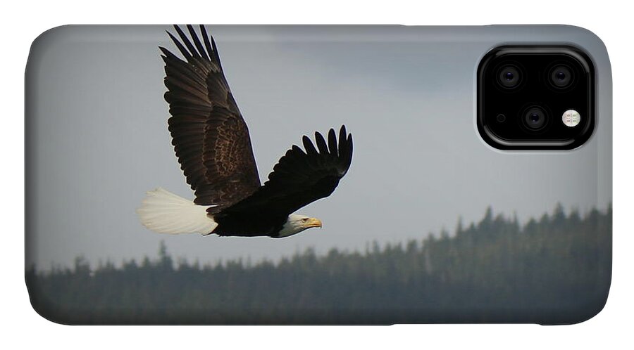 Eagle iPhone 11 Case featuring the photograph Alaskan Flight by Ryan Smith