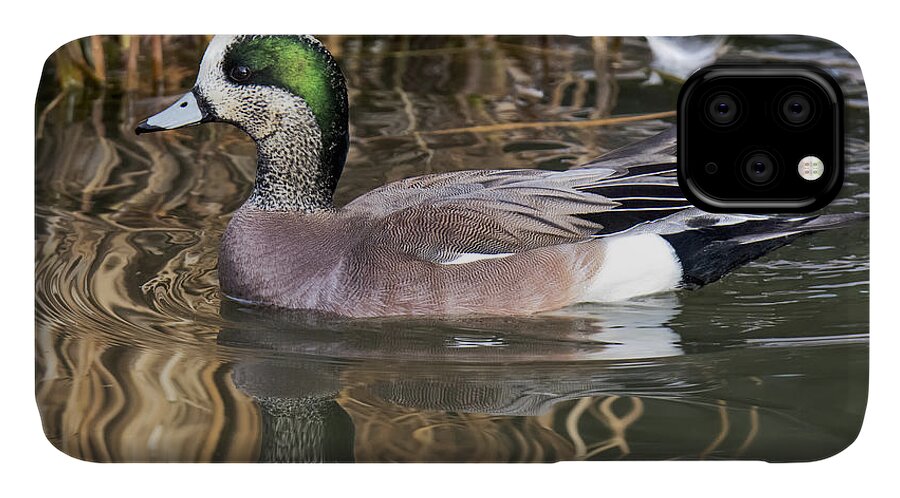 Duck iPhone 11 Case featuring the photograph American Wigeon Reflections by Stephen Johnson