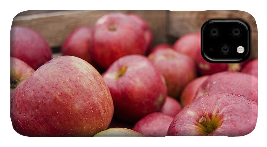 Apple iPhone 11 Case featuring the photograph An Apple a Day by Patty Colabuono
