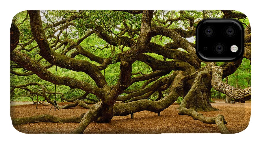 Nature iPhone 11 Case featuring the photograph Angel Oak Tree Branches by Louis Dallara