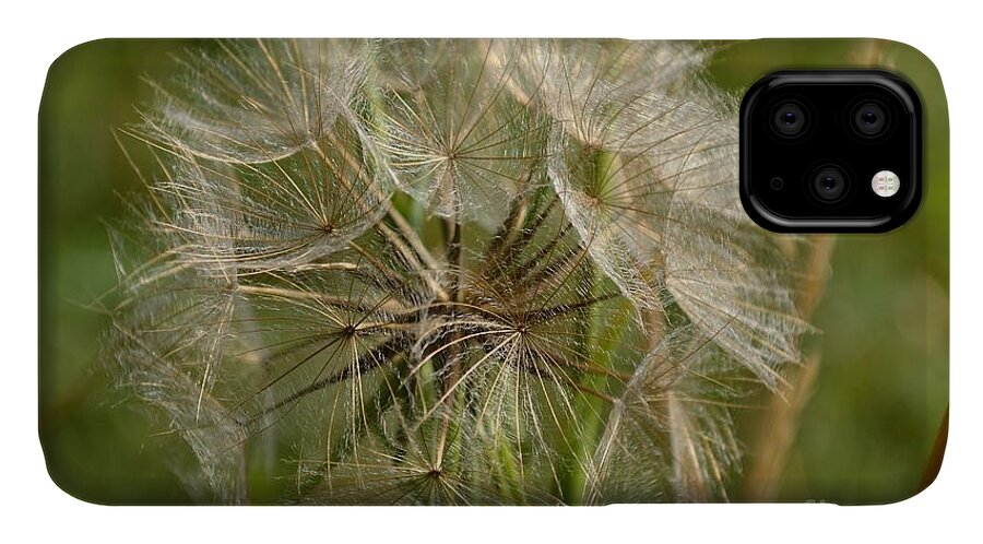 Environmental Conservation iPhone 11 Case featuring the photograph Angel Petals by Scott Lyons