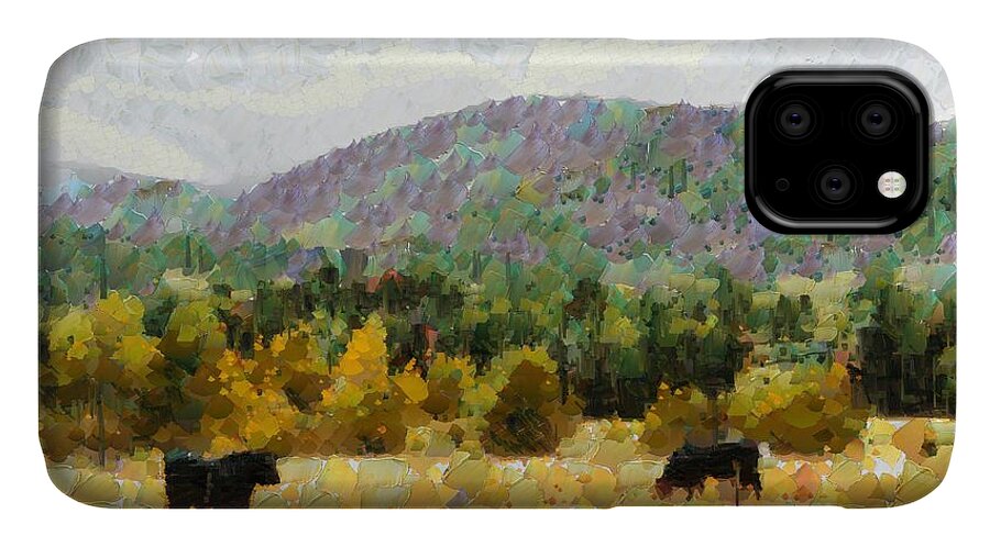 Sky iPhone 11 Case featuring the digital art Araluen Valley Views by Fran Woods