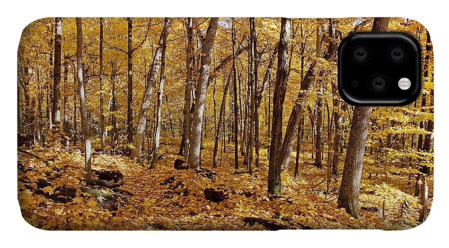 Arboretum iPhone 11 Case featuring the photograph Arboretum trail by Steven Ralser