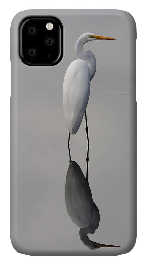 Great iPhone 11 Case featuring the photograph Argent Mirror by Paul Rebmann