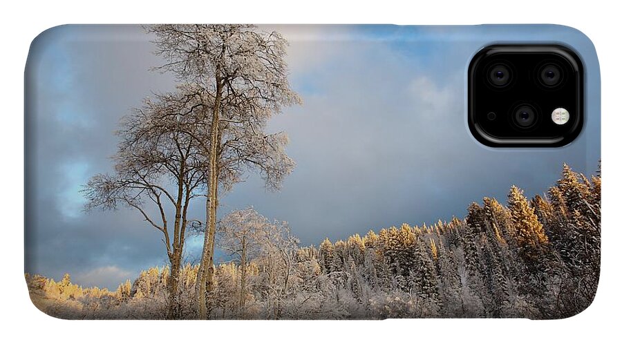 Landscape iPhone 11 Case featuring the photograph Aspen in Blue by David Andersen