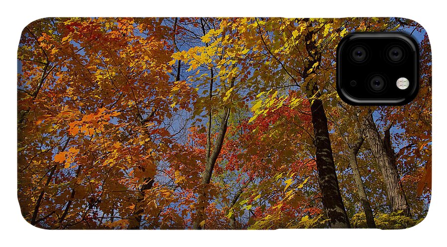 Autumn iPhone 11 Case featuring the photograph Autumn Glory by Larry Bohlin