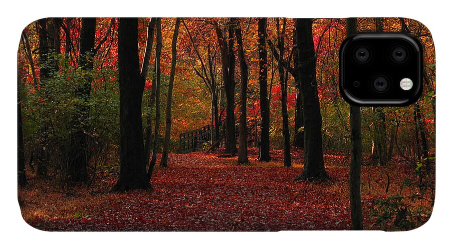 Autumn iPhone 11 Case featuring the photograph Autumn III by Raymond Salani III