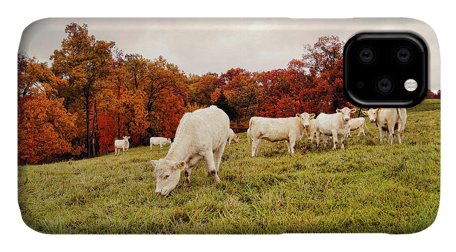 Fall Foliage iPhone 11 Case featuring the photograph Autumn Pastures by Cricket Hackmann