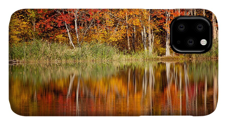 Fall iPhone 11 Case featuring the photograph Autumns True Colors by Karol Livote