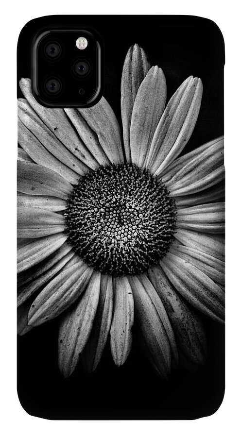 Abstract iPhone 11 Case featuring the photograph Backyard Flowers In Black And White 13 by Brian Carson