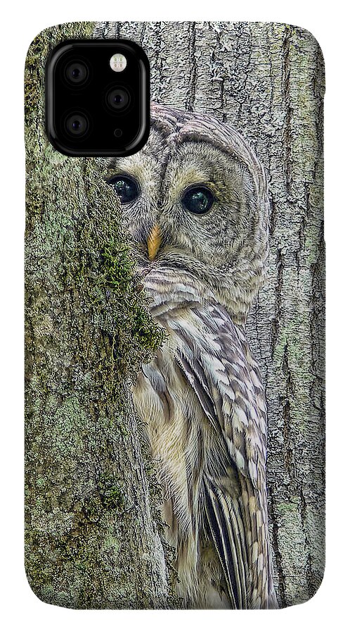 Owl iPhone 11 Case featuring the photograph Barred Owl Peek a Boo by Jennie Marie Schell