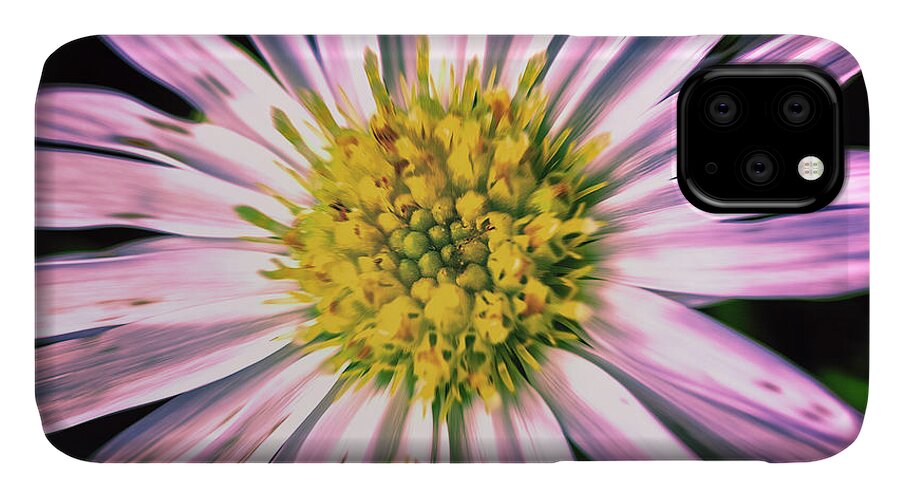 Beggers Tick iPhone 11 Case featuring the photograph Begger's Tick by Barry Weiss