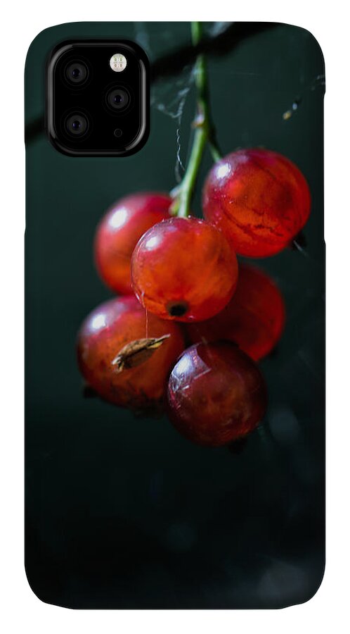 Berry iPhone 11 Case featuring the photograph Berries by Leif Sohlman