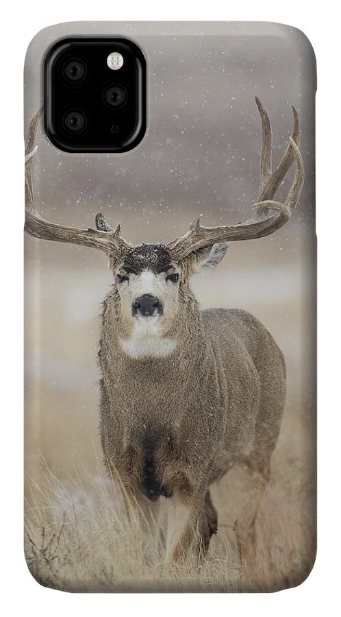 Snow iPhone 11 Case featuring the photograph Big Sky on Snowy Day by D Robert Franz