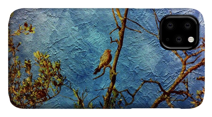 Birds iPhone 11 Case featuring the photograph Bird as a painting by Karl Rose