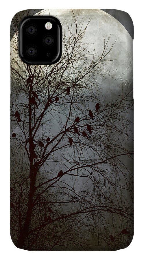 #birds iPhone 11 Case featuring the photograph Black Birds Singing in the dead of night by John Rivera