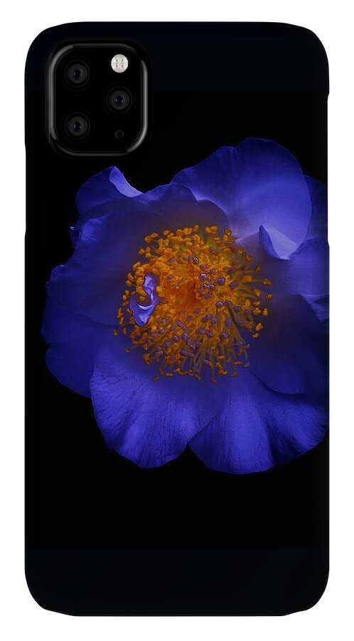 Blue iPhone 11 Case featuring the photograph Blue Beauty by Micki Findlay