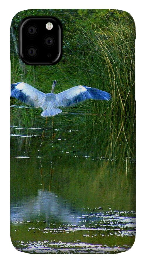Bird iPhone 11 Case featuring the photograph Blue Heron by Matalyn Gardner