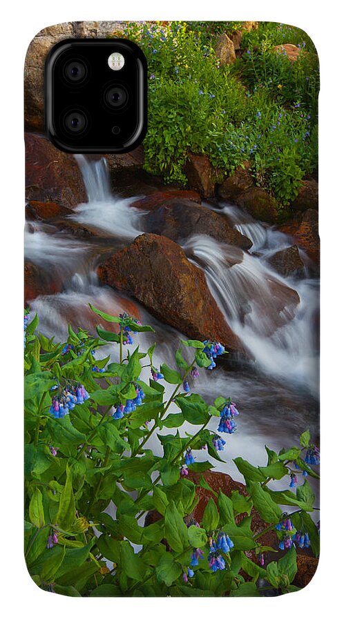Stream iPhone 11 Case featuring the photograph Bluebell Creek by Darren White