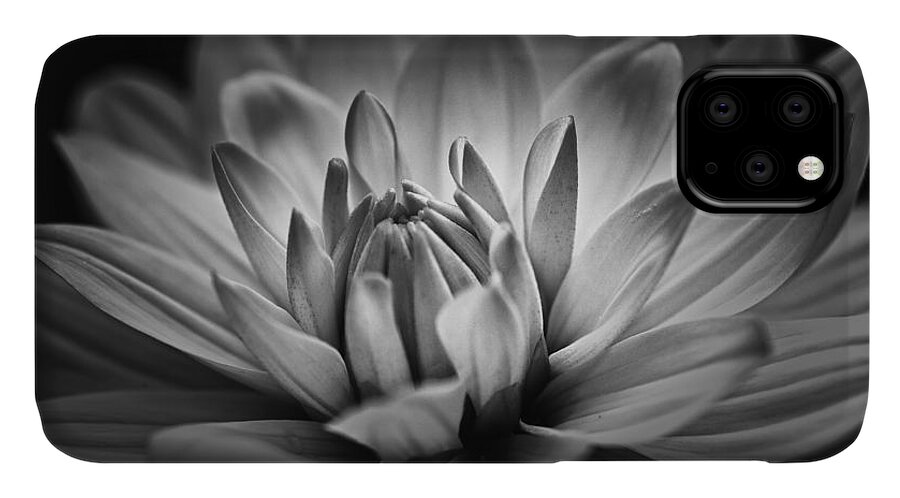 # Nature iPhone 11 Case featuring the photograph Brilliance by Mary Lou Chmura