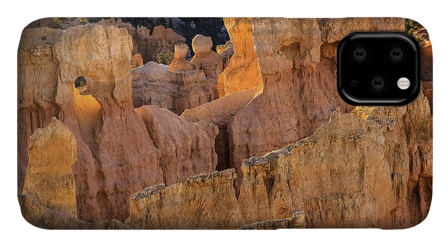 Bryce Canyon Detail iPhone 11 Case featuring the photograph Bryce Canyon 1 by David Waldrop