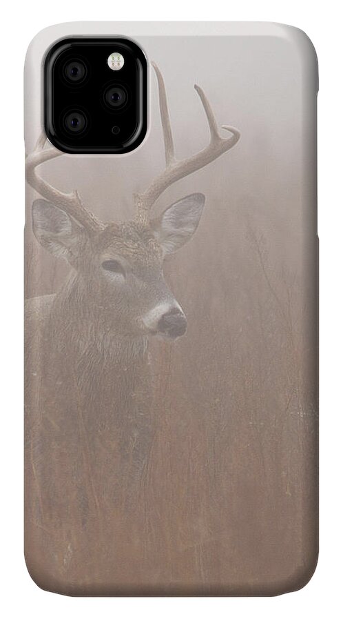 Kansas iPhone 11 Case featuring the photograph Buck in fog by Rob Graham