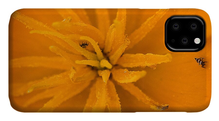 Flower iPhone 11 Case featuring the photograph Buggy Flower by Dean Ginther