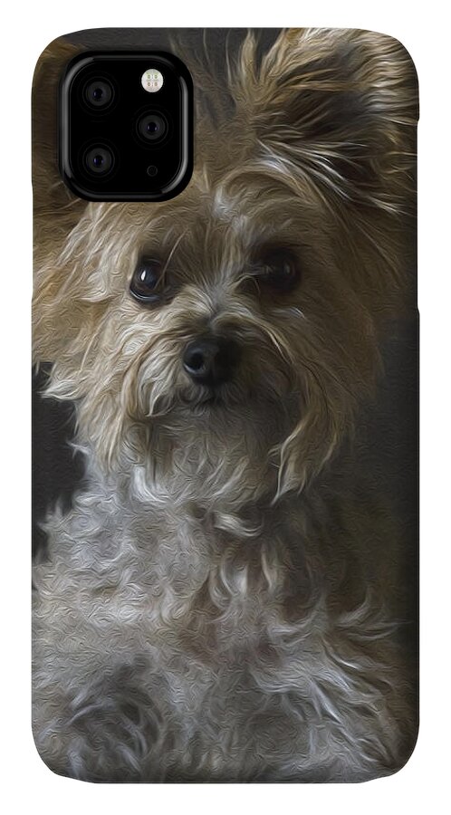 Dog Portrait iPhone 11 Case featuring the photograph Buster by Irina ArchAngelSkaya