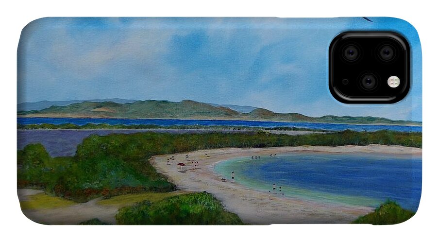 Cabo Rojo iPhone 11 Case featuring the painting Cabo Rojo Seascape by Tony Rodriguez