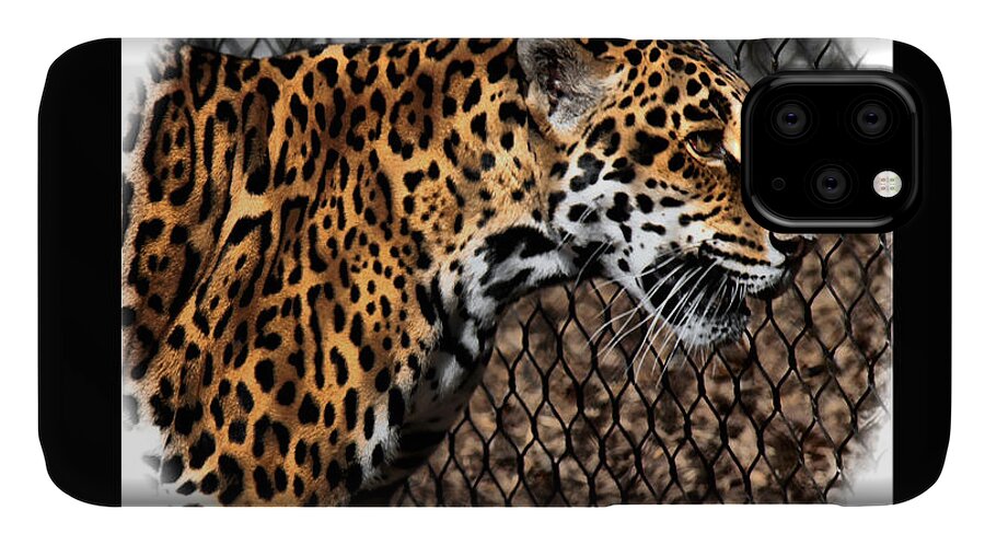 Jaguar iPhone 11 Case featuring the photograph Caged Jaguar by Lucy VanSwearingen