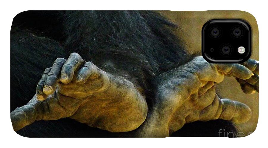 Chimpanzee iPhone 11 Case featuring the photograph Chimpanzee Feet by Clare Bevan