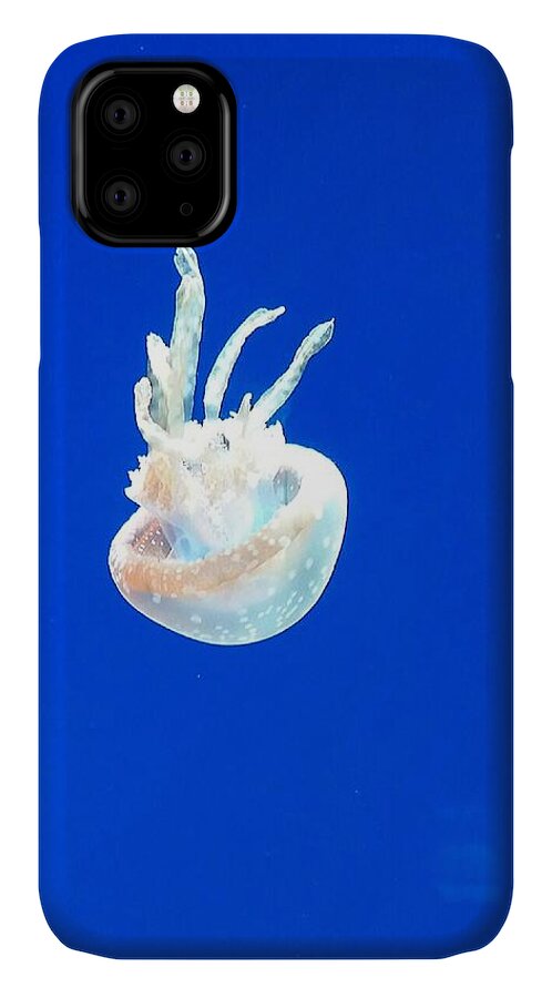 Jellyfish iPhone 11 Case featuring the photograph Clearview of the jellyfish by Kelly Mills