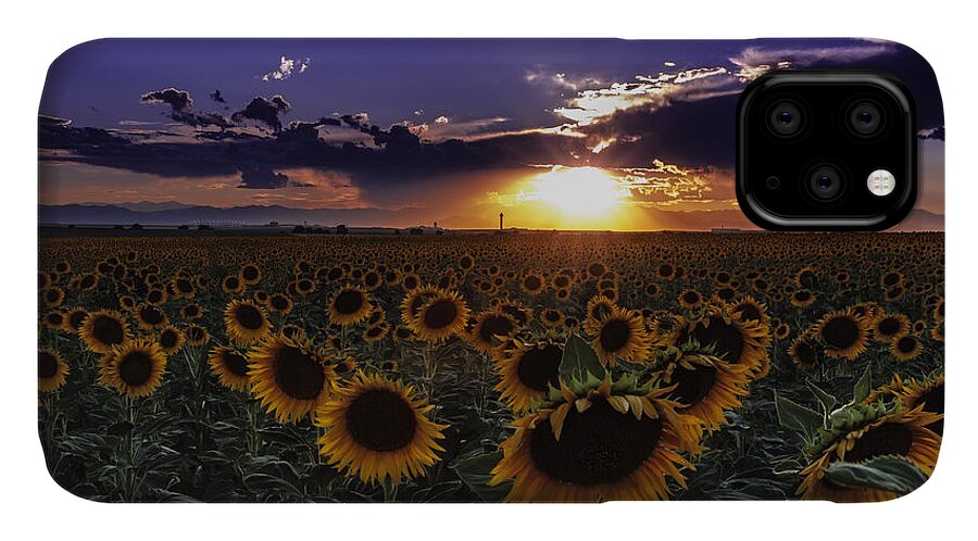 Colorado iPhone 11 Case featuring the photograph Colorado Sunflowers by Teri Virbickis