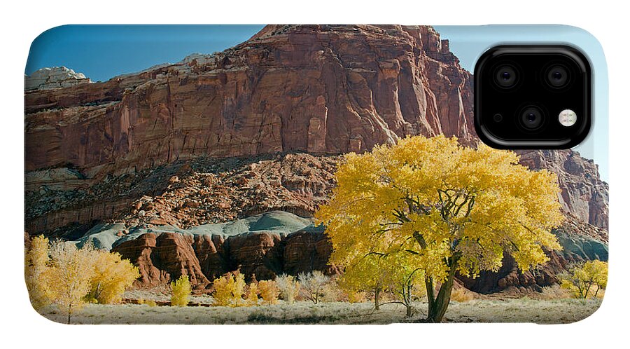 Autumn iPhone 11 Case featuring the photograph Cottonwoods in Fall The CastleCapitol Reef National Park by Fred Stearns