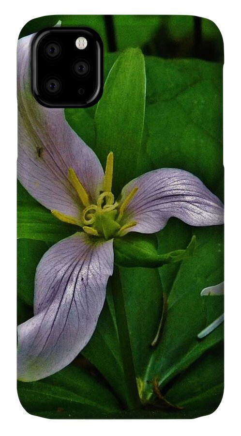Flowers iPhone 11 Case featuring the photograph Curvature of the Forest Trillium by Charles Lucas