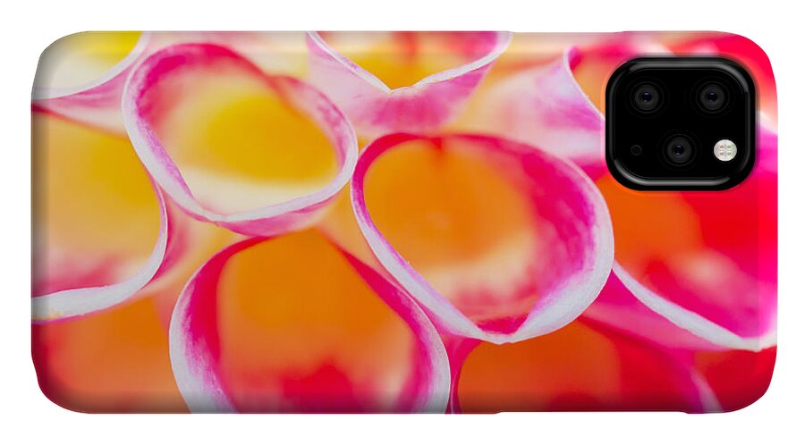 Floral iPhone 11 Case featuring the photograph Dahlia Abstract by Priya Ghose