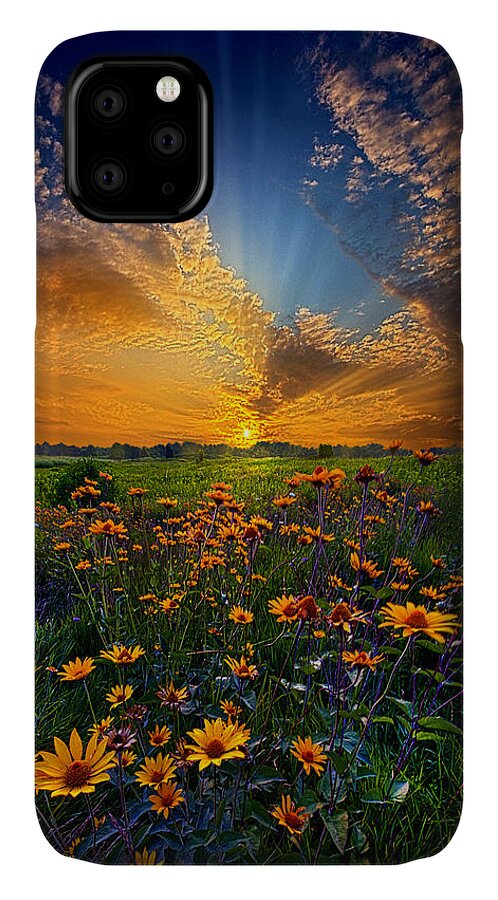 Daisy iPhone 11 Case featuring the photograph Daisy Dream by Phil Koch