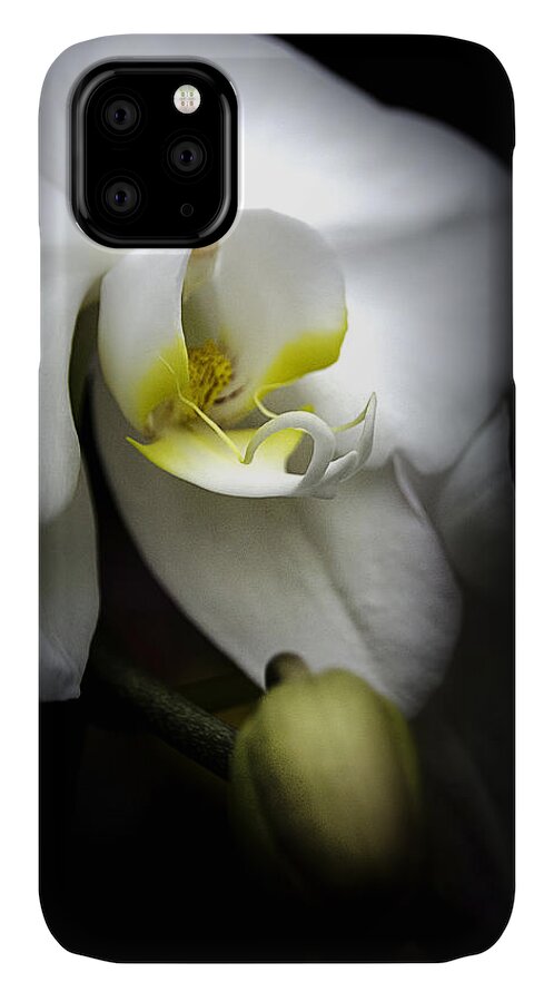 Orchid iPhone 11 Case featuring the photograph Delicate Exotic Orchid by Julie Palencia
